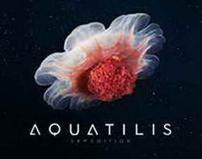 Bu aylarda doğulan insanlar xüsusi enerjiyə malik olurlar